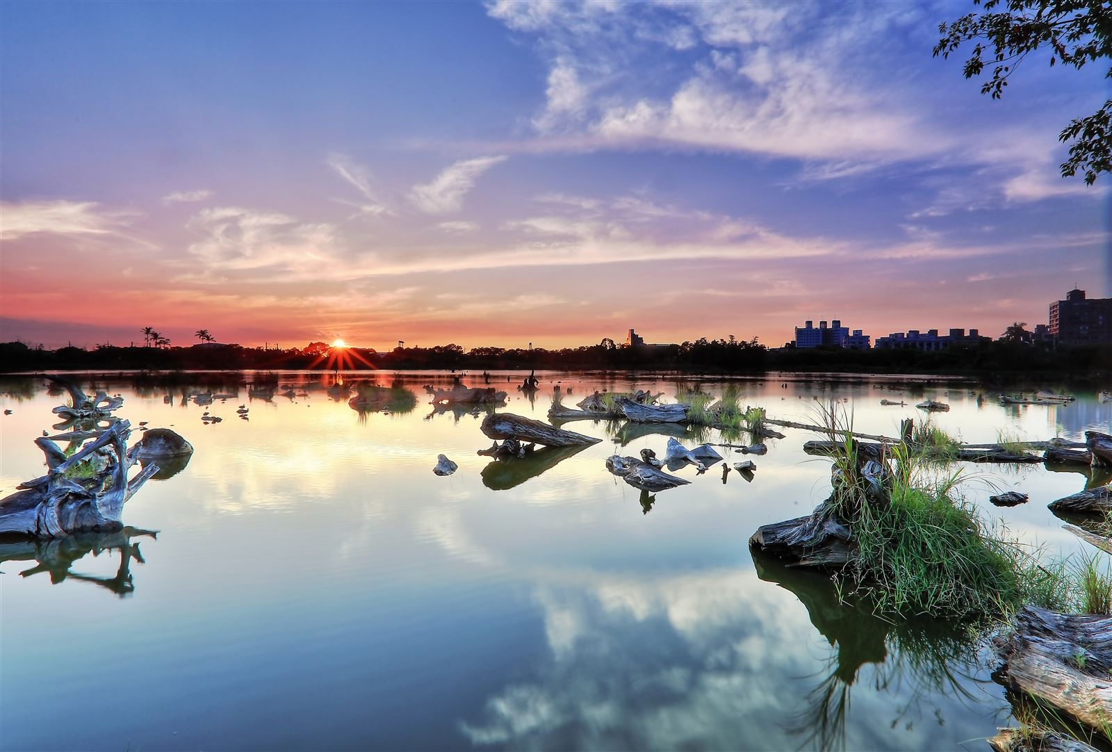 羅東林業文化園區貯木池