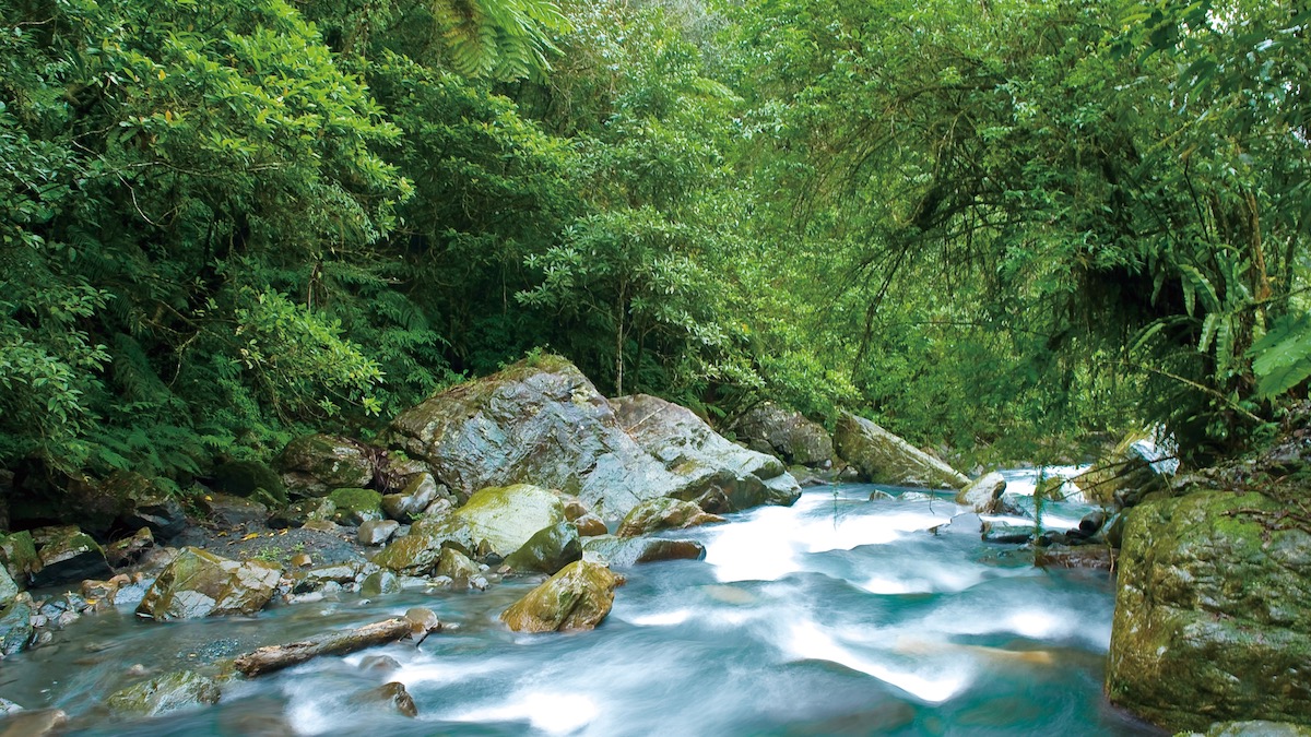 九寮溪自然步道-溪流景觀
