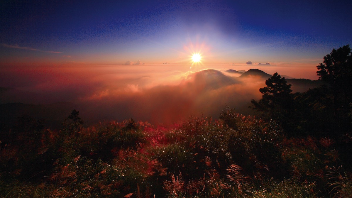 望洋山步道一隅