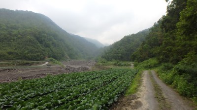 嘉平林道沿線風景