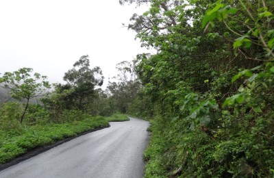 安平坑林道沿線