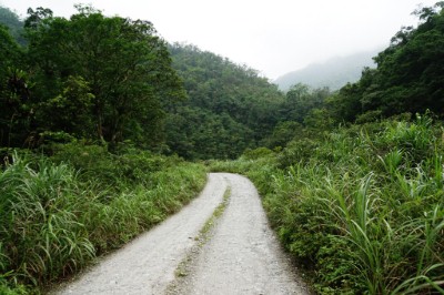 武荖坑林道