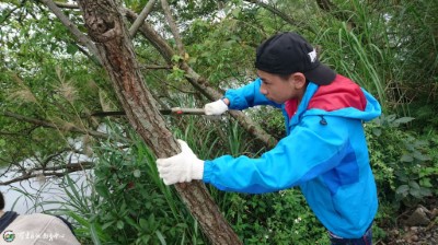 修枝小達人