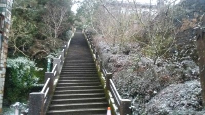 強烈大陸冷氣團發威 太平山今晨降下第一場瑞雪