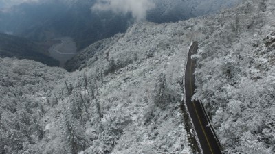 太平山成冰晶森林