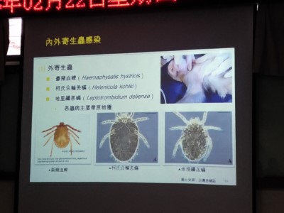 野生動物身上的內外寄生蟲眾多，尤其是傳染恙蟲病的恙蟎種類眾多，容易經由野生動物再經由寵物傳染給人。