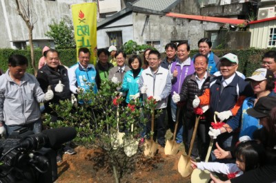 宜蘭市民權社區變龍園種下田代氏石斑木