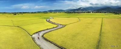 冬山鄉良質米產自宜蘭冬山河上游的第一道水源區，種植面積約1,600公頃