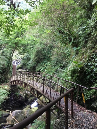 新寮瀑布步道挑高吊橋