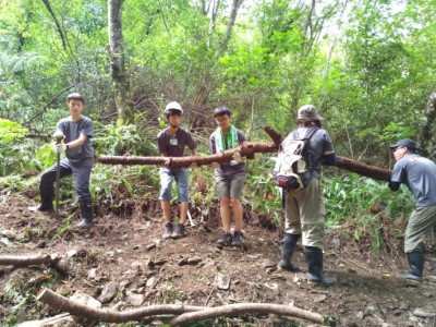 就地取材使用現地枯倒之山櫻花枝條作為「櫻木花道」之邊坡使用。