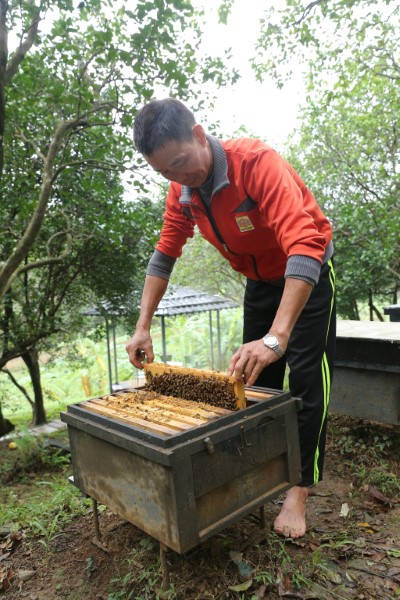 牧蜂農莊