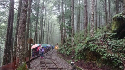 太平山“蹦”然心動的邀約‧2018蹦蹦車復駛活動  