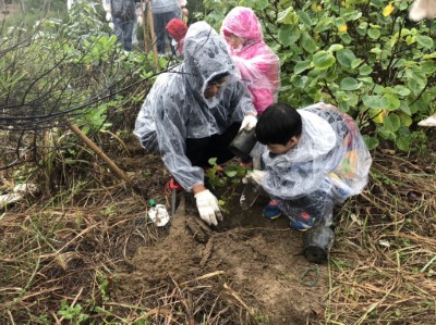 讓海岸保安林建構更完善，綠色長城守護的我們的家園