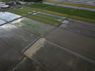 田埂拓寬營造