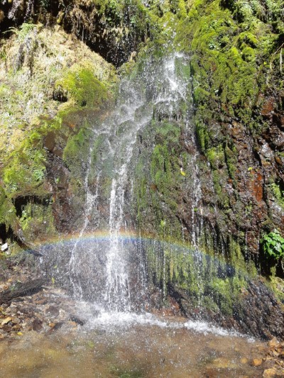 宜蘭四季林道山區美景，森林護管員全都錄