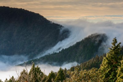 春遊太平山 坐看雲起時