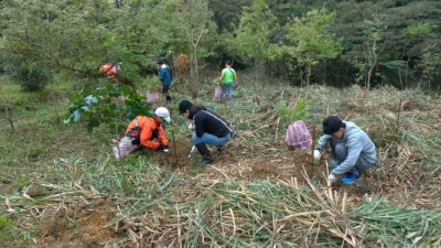 康橋師生，用植樹行動延續島嶼生命綠