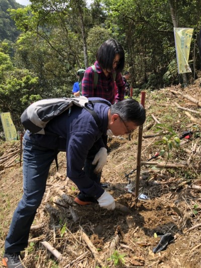 外貿協會捐款植樹、守護水源