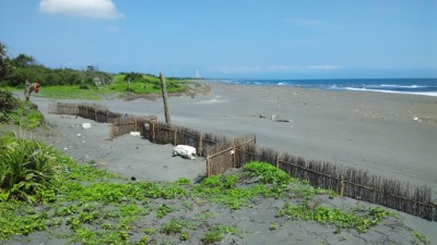 海岸保安林