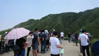 抹茶山遊客眾多