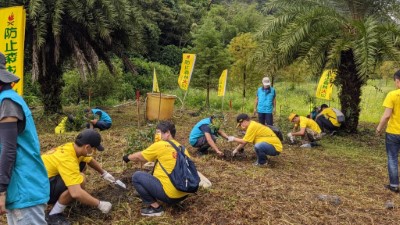 DHL國際快遞造林新植工作