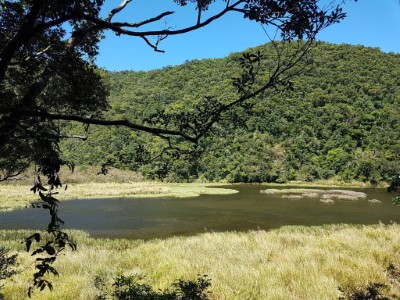 北山澤蟹原生棲地—南澳闊葉樹林自然保留區