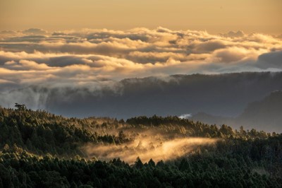 太平山雲海