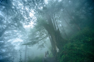 最美小路-見晴懷古步道-2