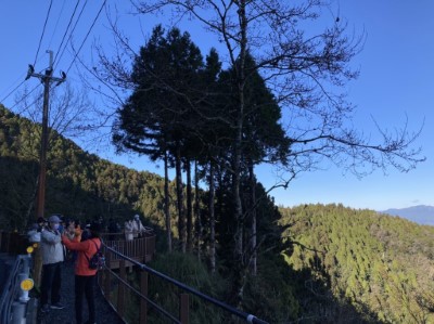 太平山景致吸引民眾搶拍