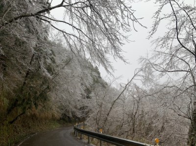 道路沿線結霜