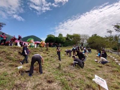 植樹活動