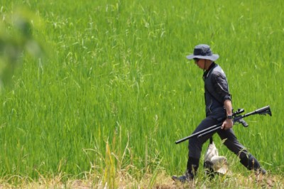 本處成立射手隊移除埃及聖䴉1