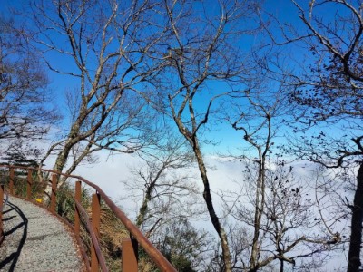 觀雲棧道-5