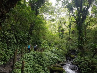 聖母登山步道