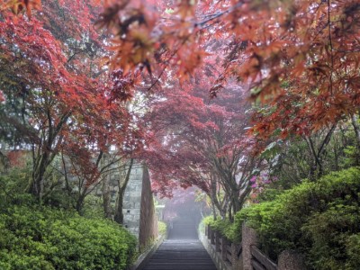 中央階梯