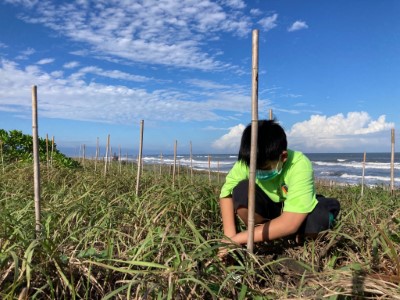 海岸保安林環境教育活動4