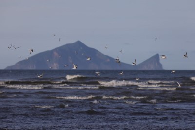 宜蘭的海岸線是水鳥的重要棲地(宜蘭縣生態農業發展協會提供)