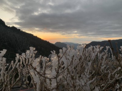 晨曦中的霧淞美景1