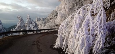 霧淞美景2