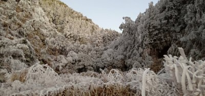 霧淞美景3