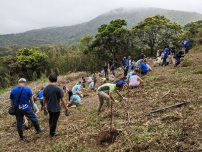 玉山金控志工、羅東處同仁植樹2