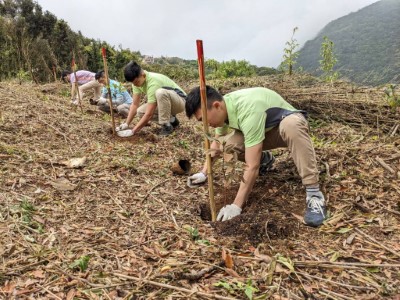 玉山金控志工植樹