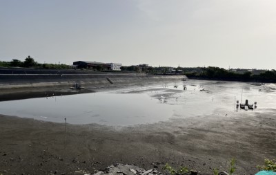 控制魚塭水位，提供過境水鳥休憩覓食的空間