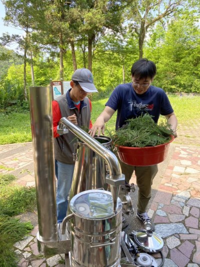 取柳杉廢棄枝葉進行現場操作移動式精油蒸餾機