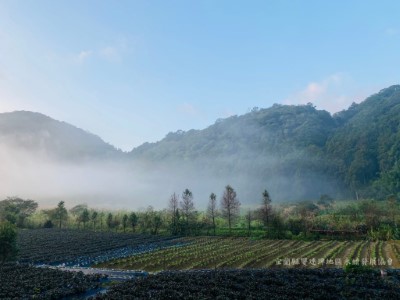 雙連埤美照1