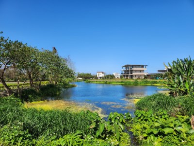 柯林湧泉涵養水域生物