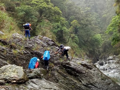 深山特遣任務永久樣區複查及森林動植物資源調查1