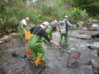 轄區溪流魚類調查情形