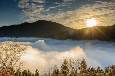 太平山雲海