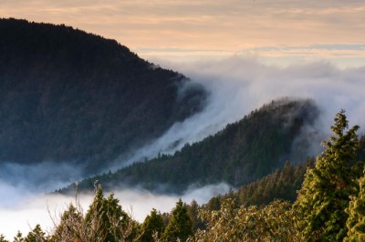 太平山雲海